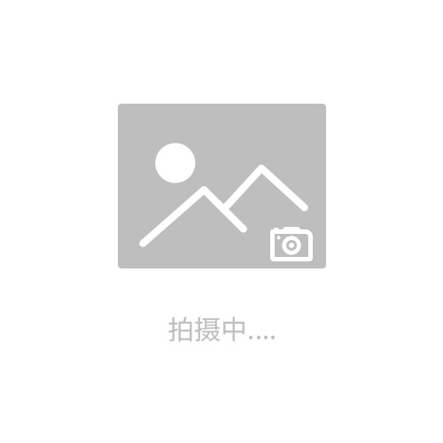 深圳雄安浦東YOLO鋼直尺檢定臺檢定儀廠家價格 鋼直尺工廠